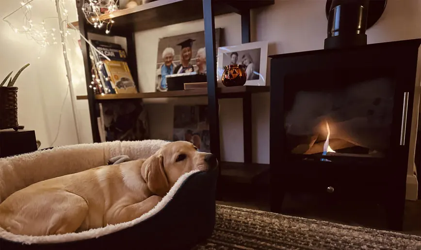Pure Bioethanol Stoves